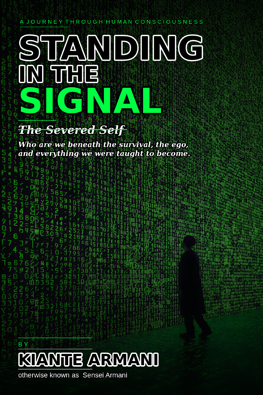 Standing in the Signal book cover